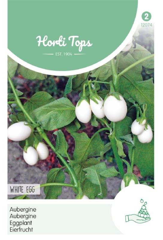 biely baklažán, baklažán ako vajce, vajcové baklažány, semená bieleho baklažánu